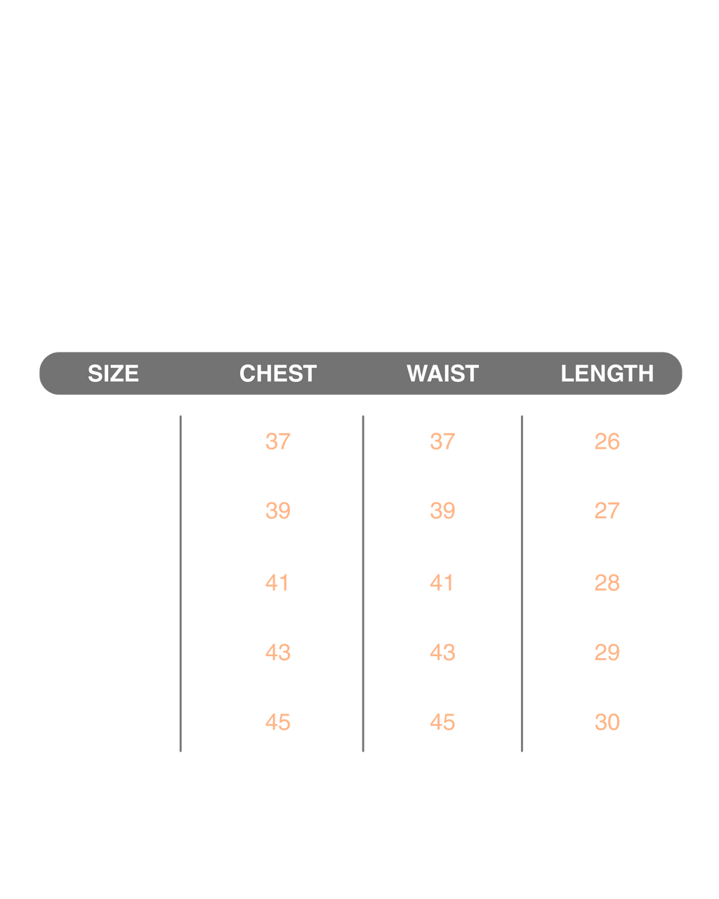 Cute panda Regular tshirt